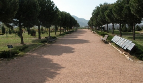 Real Jardín Botánico Juan Carlos I