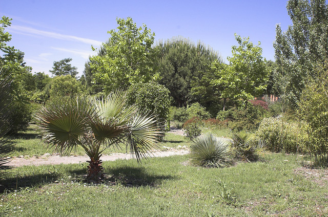 zona ajardinada del Jardín botánico de la UAH