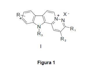 Informacion adicional-TIC-UAH-29