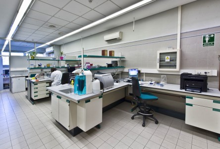 Unidad de Biología Molecular