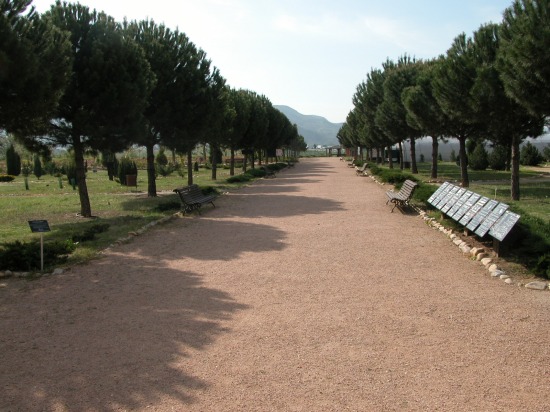 Jardin Botánico