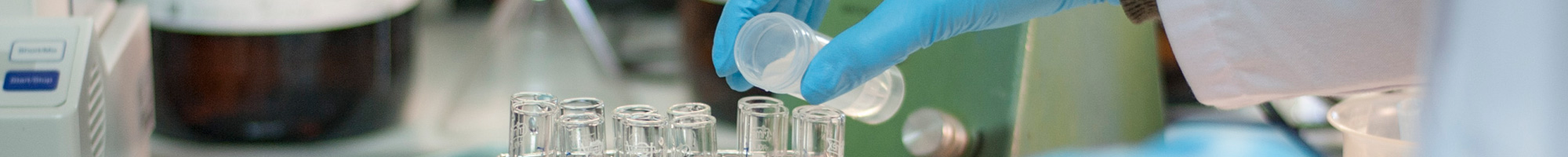 cabecera investigacion web